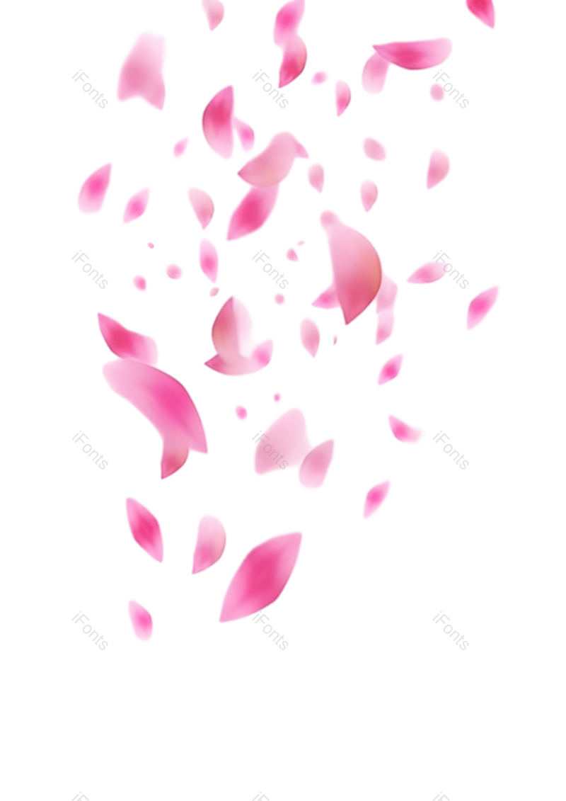 元素图片,插画元素,白色背景PNG,花瓣免抠素材